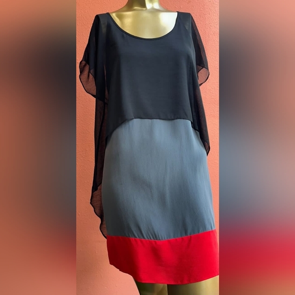 Kenneth Cole New York Dresses & Skirts - Kenneth Cole New York  Cap Sleeve Grey/Black/Red, Knee Length Dress Size SP
